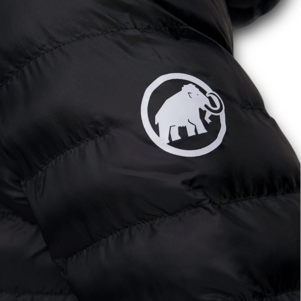 Jachetă Mammut Albula In