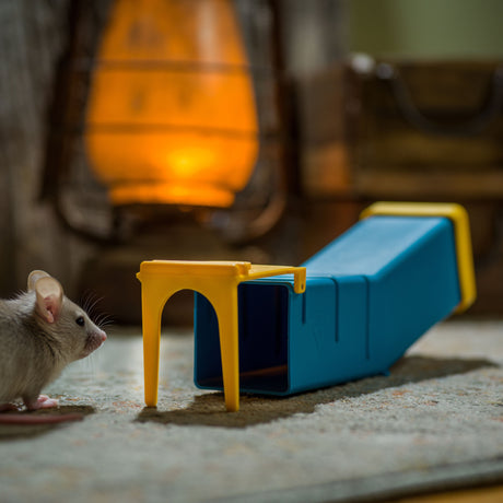 spray piper impotriva oamenilor - Planul de 48 de Ore pentru Eficiența Capcanelor de Șoareci în 2026