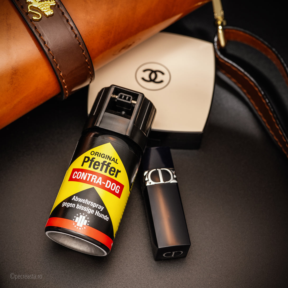 Spray Pentru Câini (TW1000 Contra Dog)